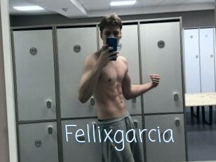 Fellixgarcia