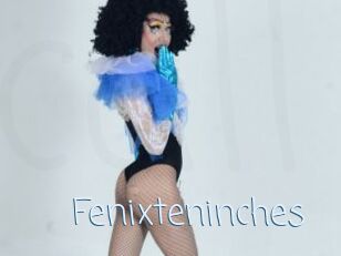 Fenixteninches
