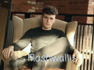 Flashwallis
