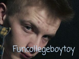 Funcollegeboytoy