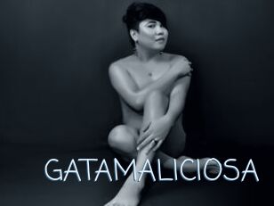 GATAMALICIOSA