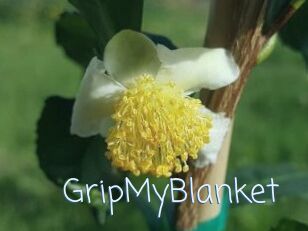 GripMyBlanket