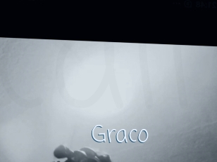 graco Callsex