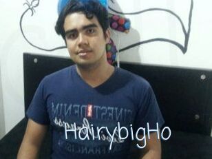 HairybigHo