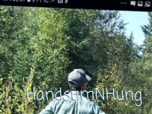 HandsumNHung