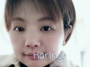 Haringo