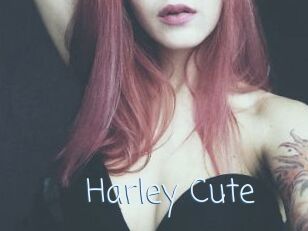 Harley_Cute