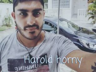 Harold_horny