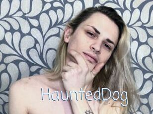 HauntedDog