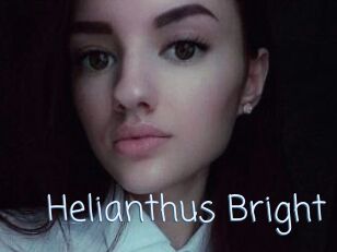 Helianthus_Bright