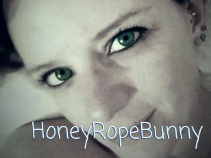 HoneyRopeBunny