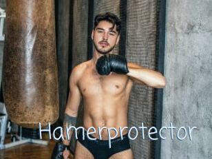 Hamerprotector