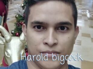 Harold_bigcock