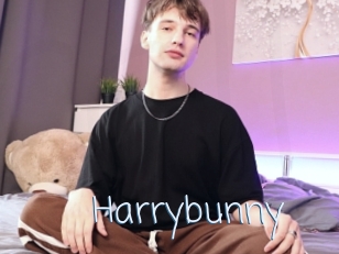 Harrybunny