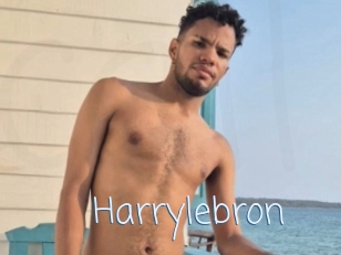 Harrylebron