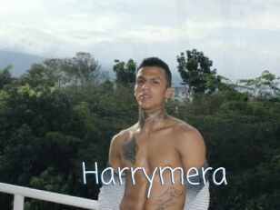 Harrymera