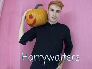 Harrywalters