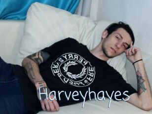Harveyhayes