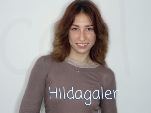 Hildagaler