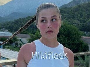 Hildfleek