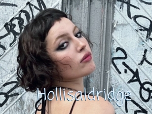 Hollisaldridge