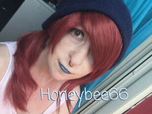 Honeybee66