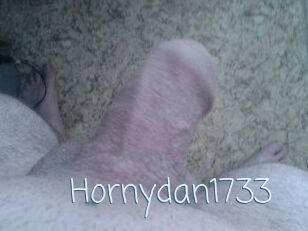 Hornydan1733