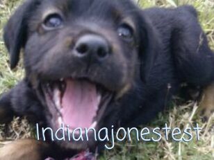 Indianajonestest