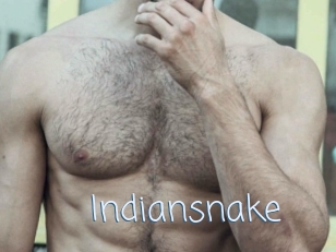 Indiansnake