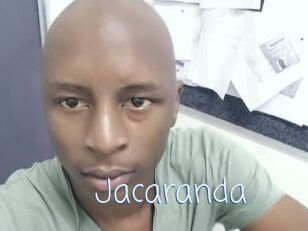 Jacaranda