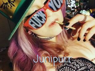 Junipurr