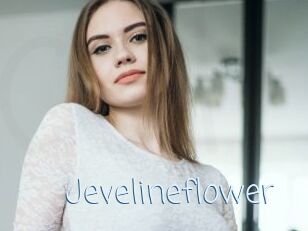 Jevelineflower