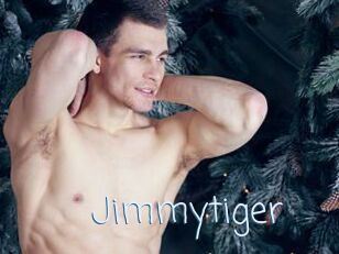 Jimmytiger