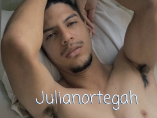 Julianortegah