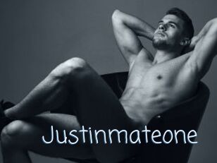 Justinmateone