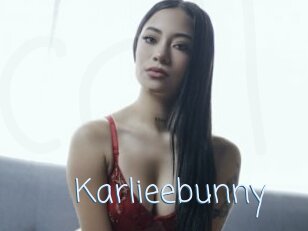 Karlieebunny