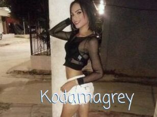 Kodamagrey