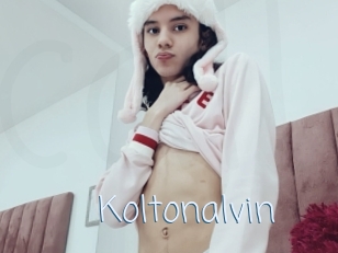 Koltonalvin