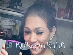 Kulkoginikutifi