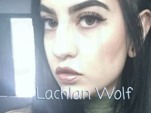 Lachlan_Wolf