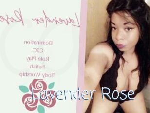 Lavender_Rose