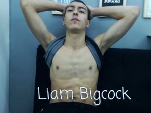 Liam_Bigcock