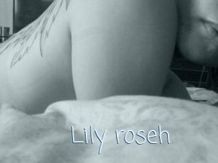 Lily_roseh
