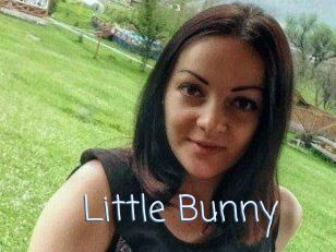 Little_Bunny_