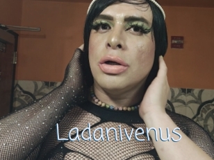 Ladanivenus