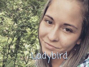 Ladybird
