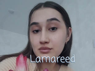 Lamareed