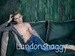 Landonshaggy