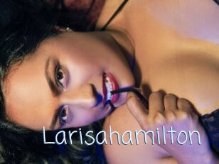 Larisahamilton