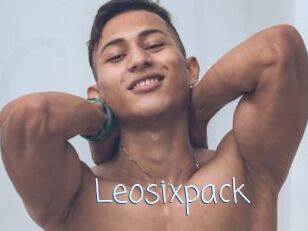 Leosixpack